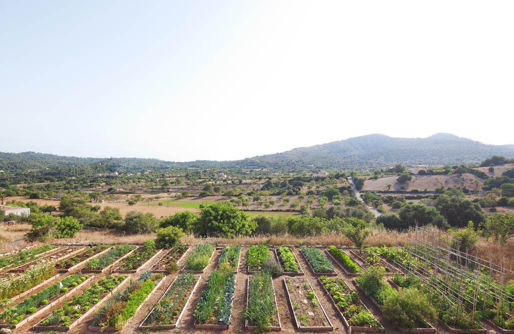 Agroturismo Ses Cases De Fetget (Adults Only) Son Servera  Eksteriør bilde